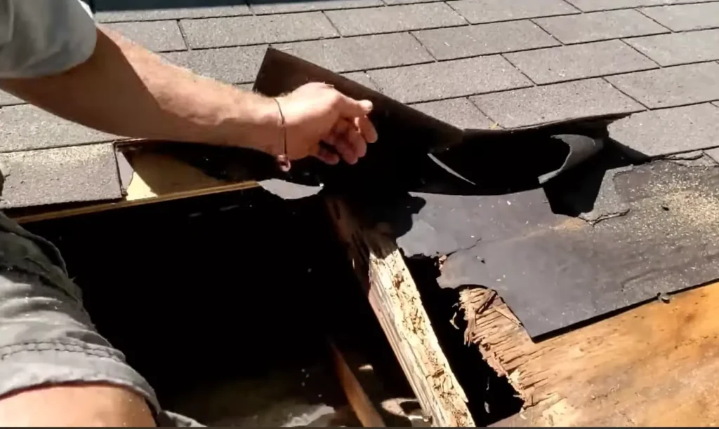 Contractor inspecting rotted wood decking during a residential roof tear-off in Gainesville, Florida