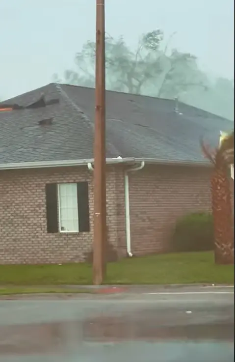 Shingle roof with wind damage during a hurricane in Alachua County Florida